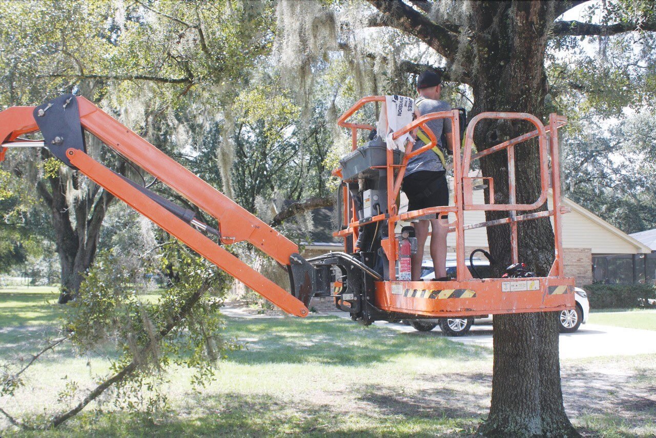 Lift operator Chris Mason cuts and trims tree branches in preparation for the hanging of lights. The process of hanging lights started on Saturday and won't be finished until November.
